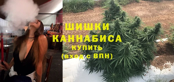мяу мяу кристалл Бикин