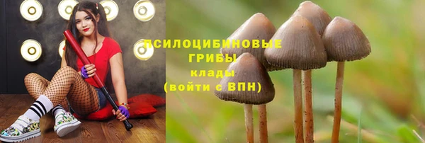 гашиш Няндома