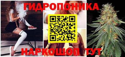 дживик Балахна