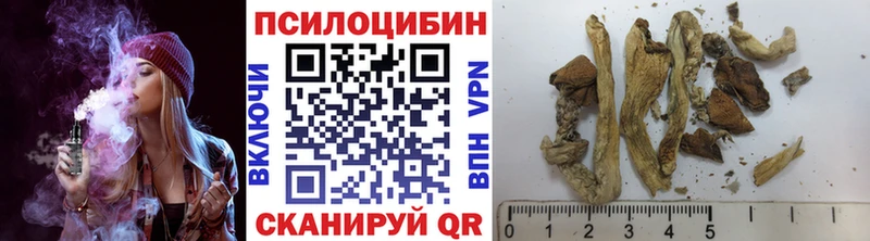 Галлюциногенные грибы MAGIC MUSHROOMS  Россошь 