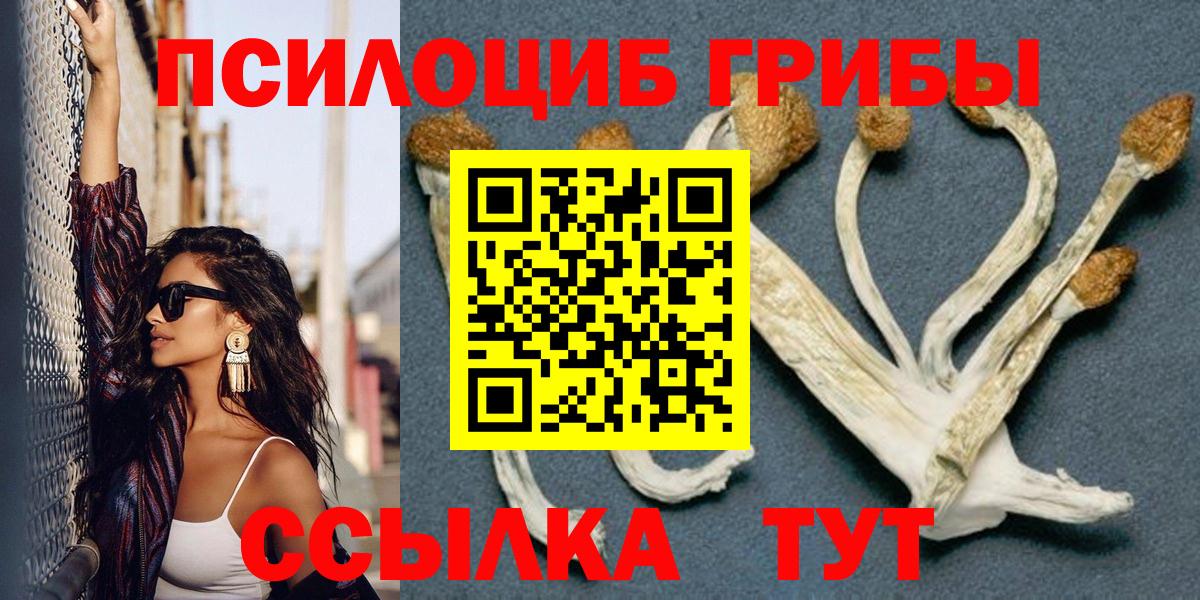 Галлюциногенные грибы Psilocybine cubensis Россошь
