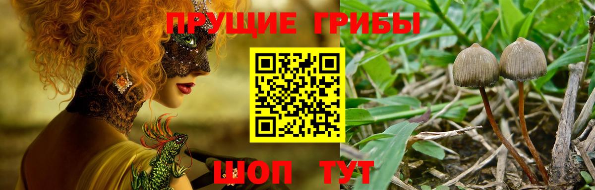 Псилоцибиновые грибы Magic Shrooms  Вход с VPN  Россошь 